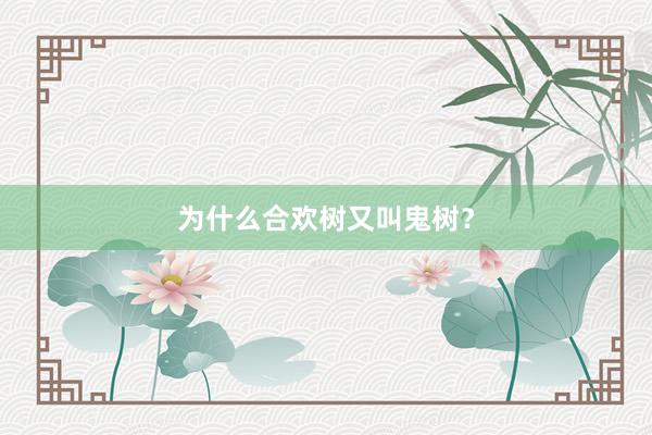 为什么合欢树又叫鬼树？