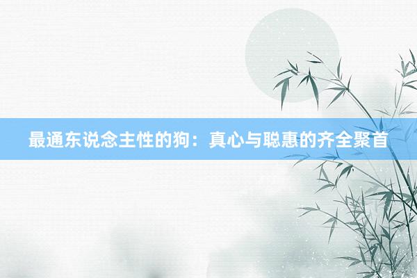 最通东说念主性的狗：真心与聪惠的齐全聚首