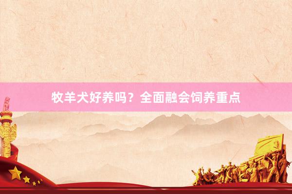 牧羊犬好养吗？全面融会饲养重点