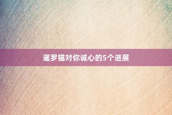 暹罗猫对你诚心的5个进展